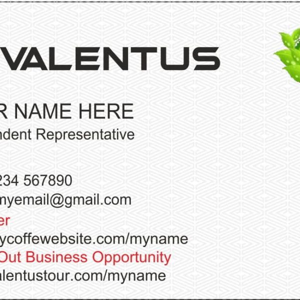 Valentus Business Cards - Double sided